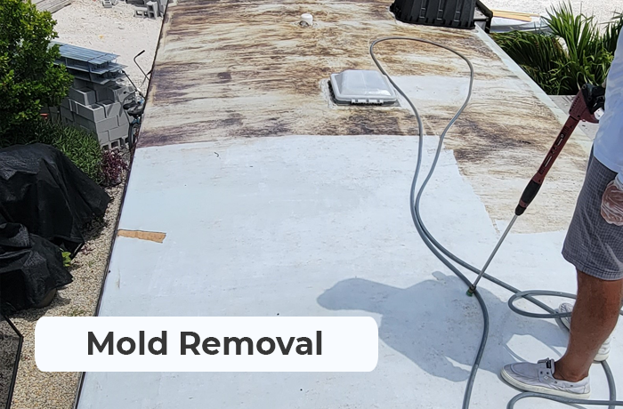 Mold removal services in the Florida Keys